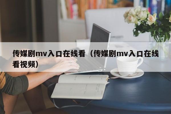 传媒剧mv入口在线看（传媒剧mv入口在线看视频）