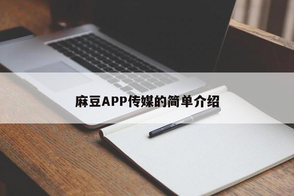 麻豆APP传媒的简单介绍
