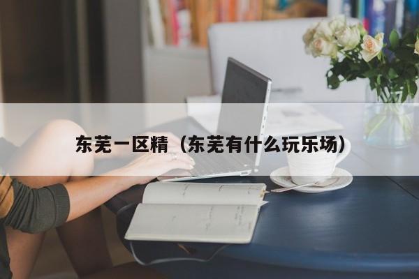 东芜一区精（东芜有什么玩乐场）